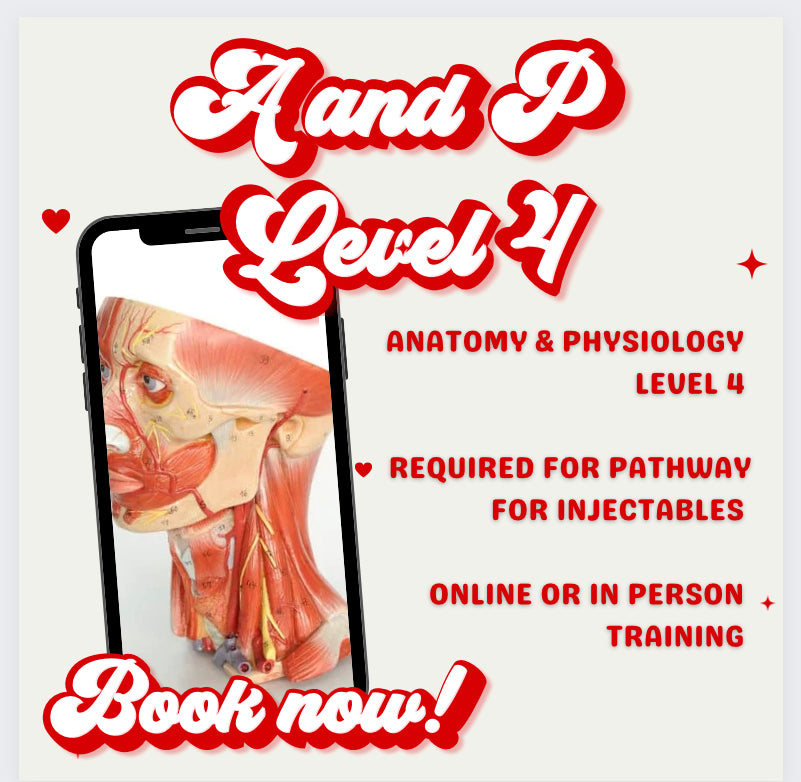 Anatomy and Physiology Level 4